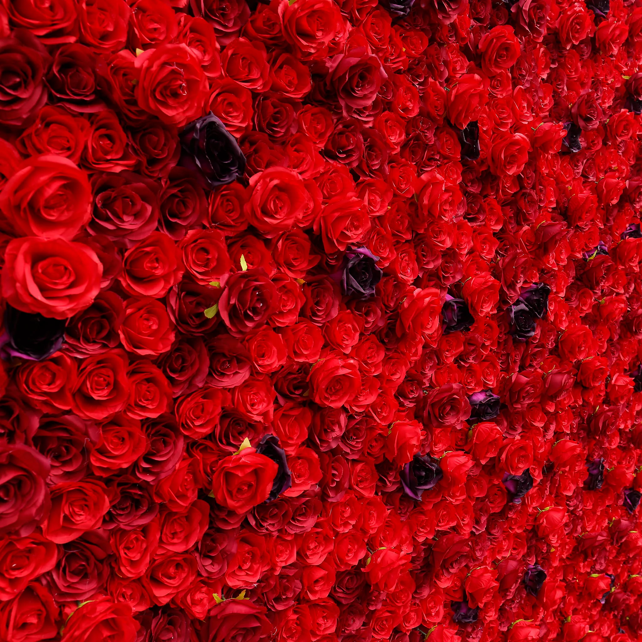 Aliflowers 3D Red Rose with Black Dot Embellish Floral Wall ALFWL080 - Image 3