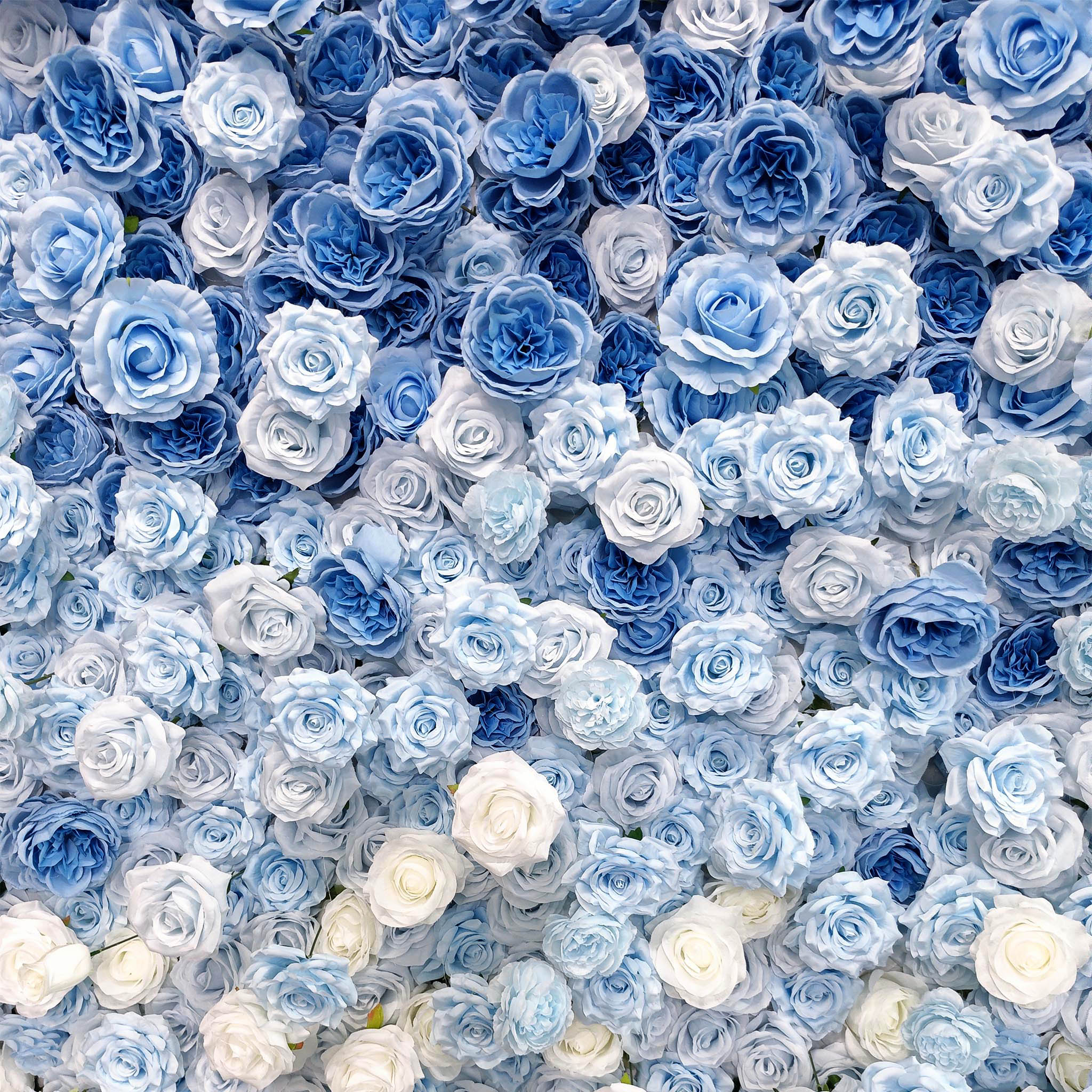 Aliflowers 5D Blue and White Rose Gradient Flower Wall Floral Roller Blinds Wedding Party Decoration ALFWL067 - Image 11