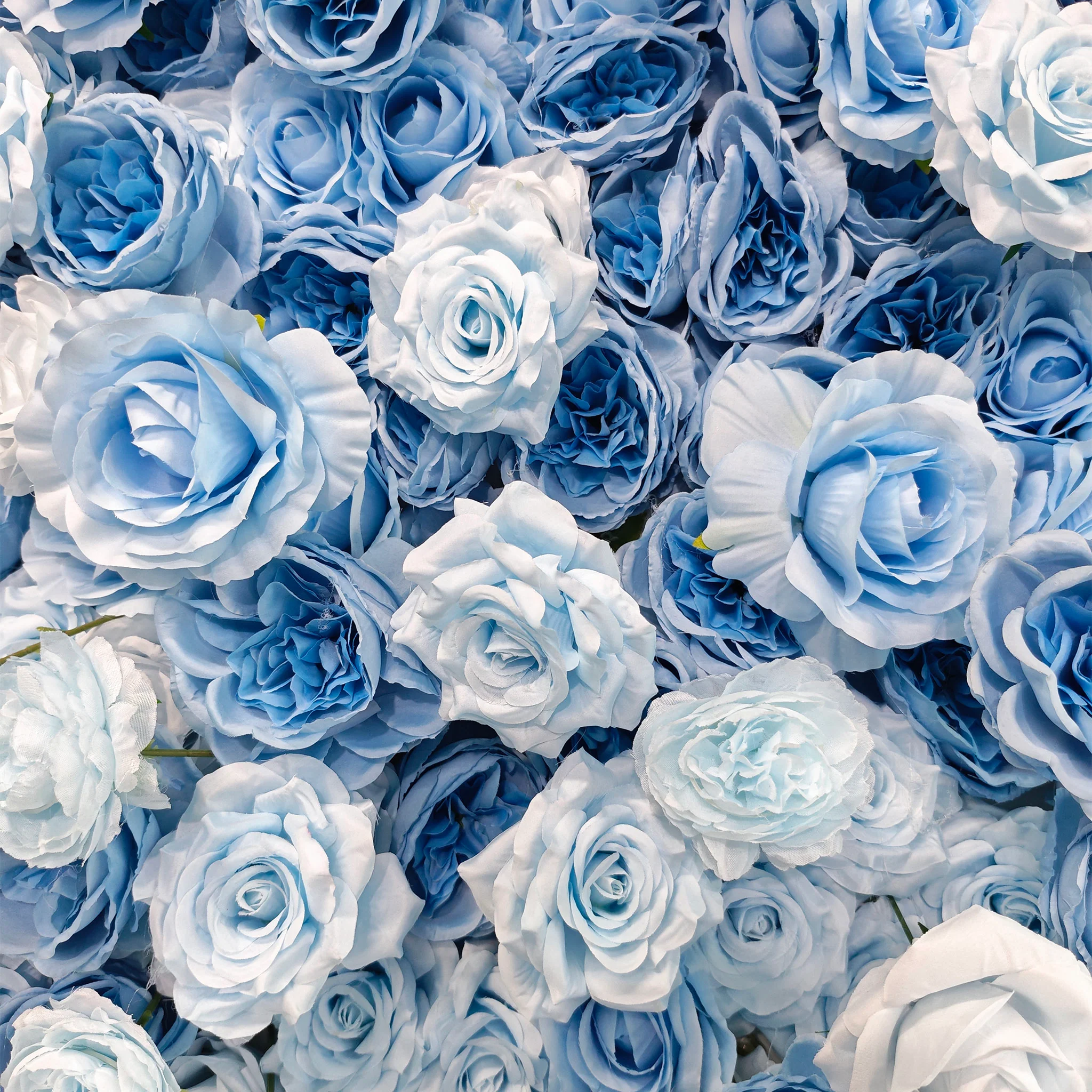 Aliflowers 5D Blue and White Rose Gradient Flower Wall Floral Roller Blinds Wedding Party Decoration ALFWL067 - Image 3