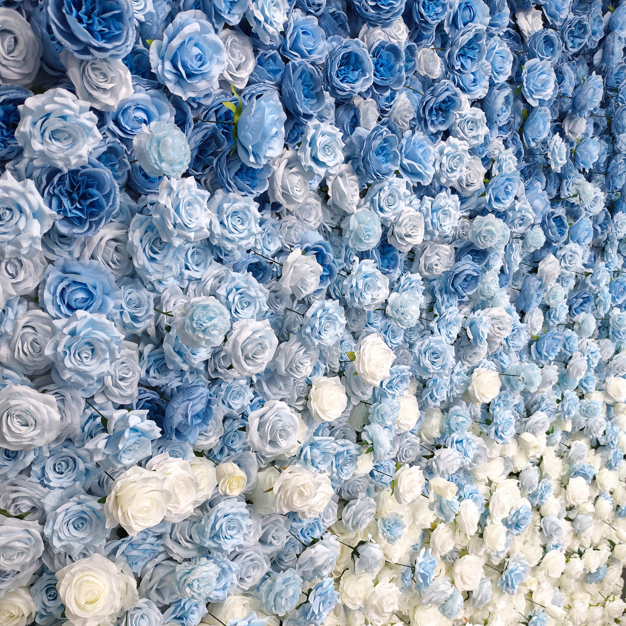 Aliflowers 5D Blue and White Rose Gradient Flower Wall Floral Roller Blinds Wedding Party Decoration ALFWL067 - Image 4