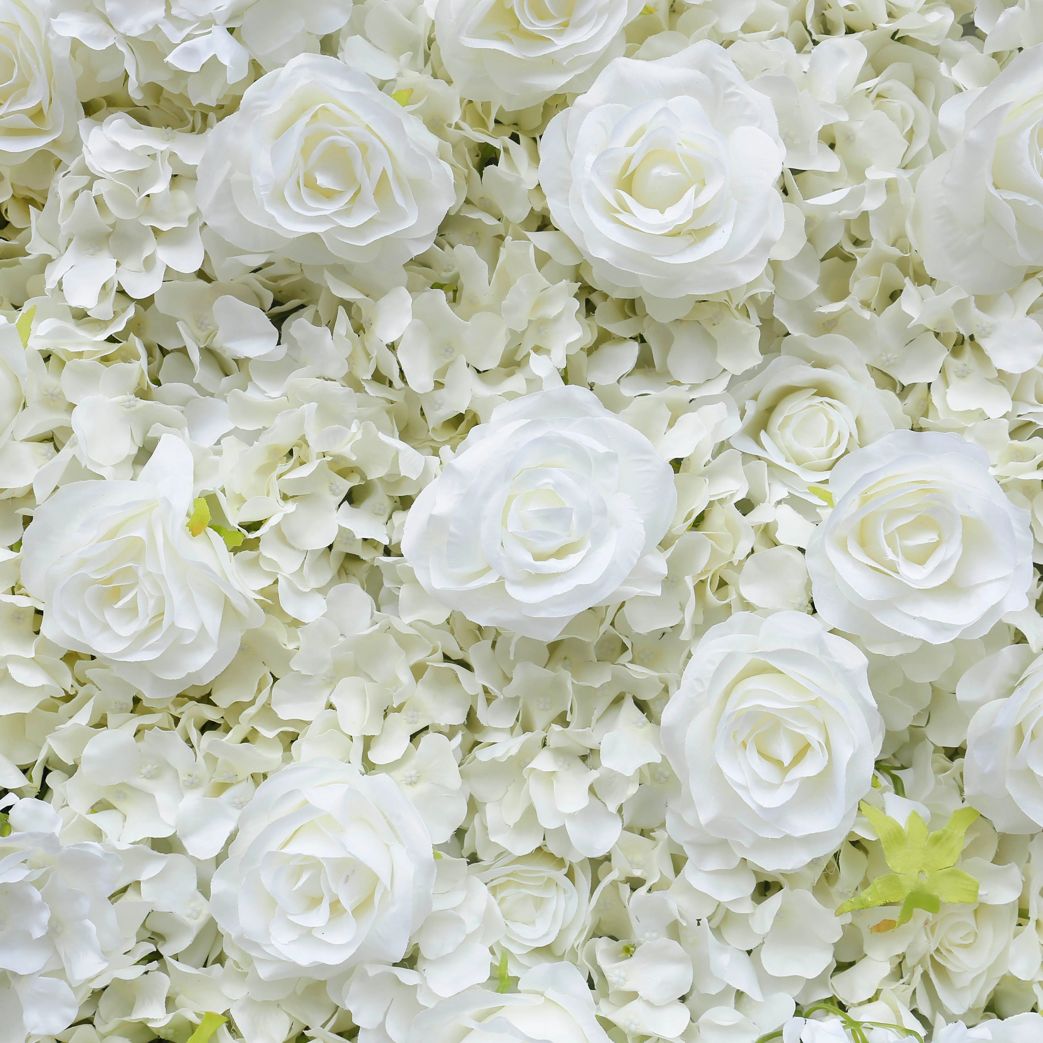 Aliflowers Cream Rose Roll Up Fabric Artificial Flower Wall for Sale ALFWL065 - Image 2