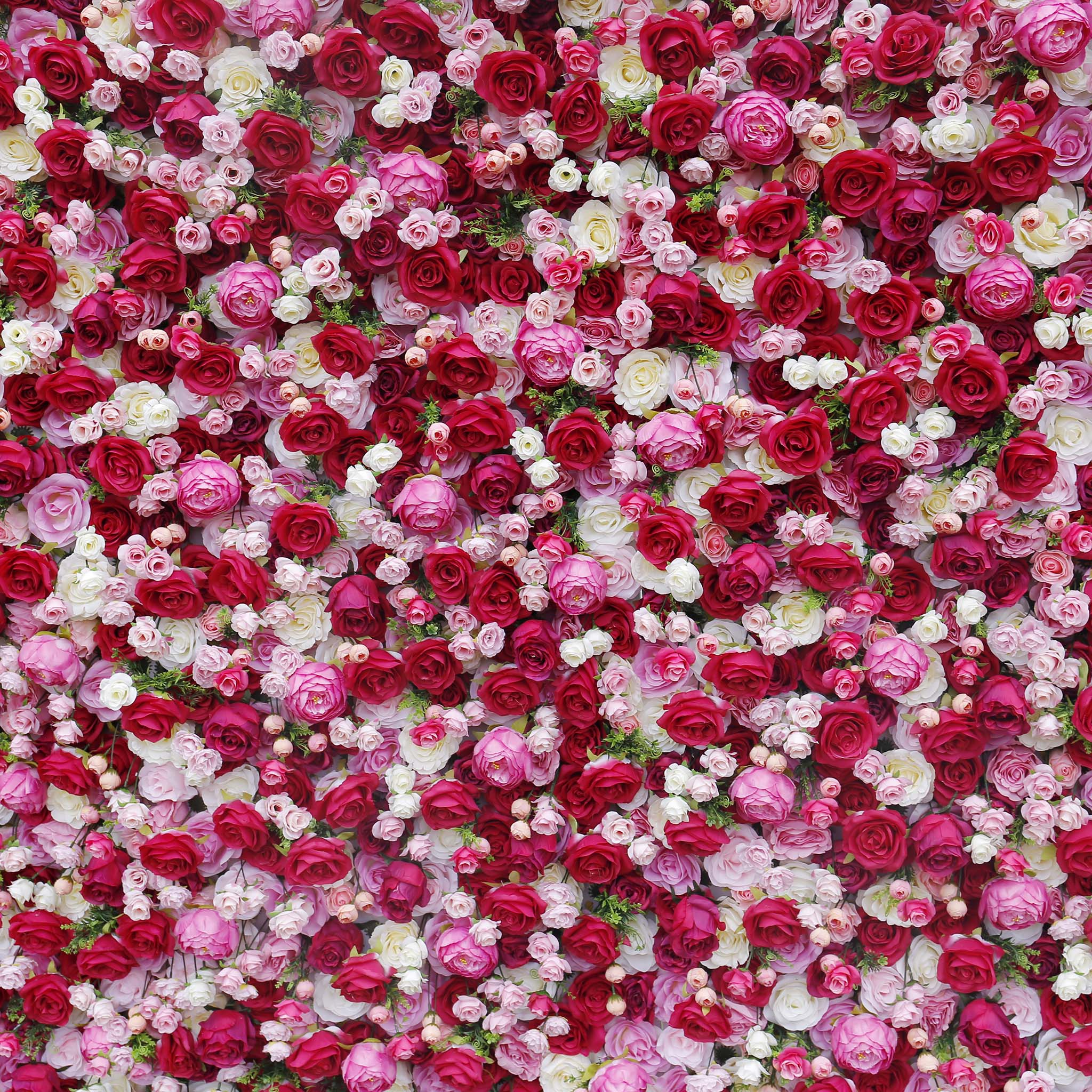 Aliflowers Rustic Style 3D Red Pink Rose Rolling up Curtain Flowers Wall ALFWL047 - Image 12