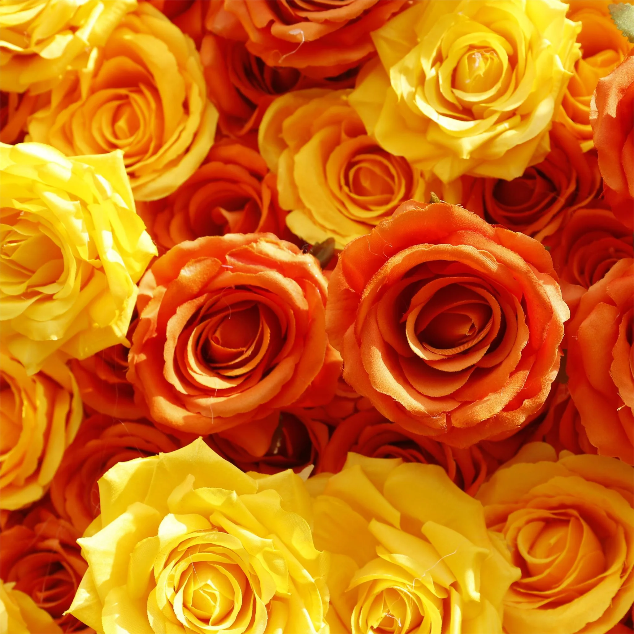 Aliflowers 5D Gradient Rose Orange to Red Sunset Flower Walls ALFWL121 - Image 3