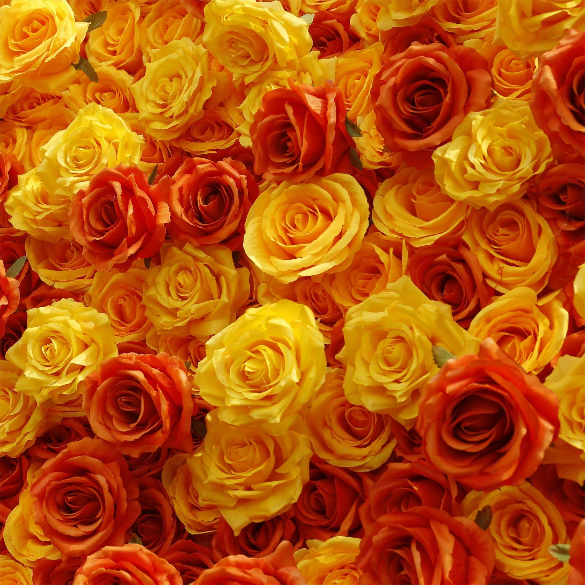 Aliflowers 5D Gradient Rose Orange to Red Sunset Flower Walls ALFWL121 - Image 4