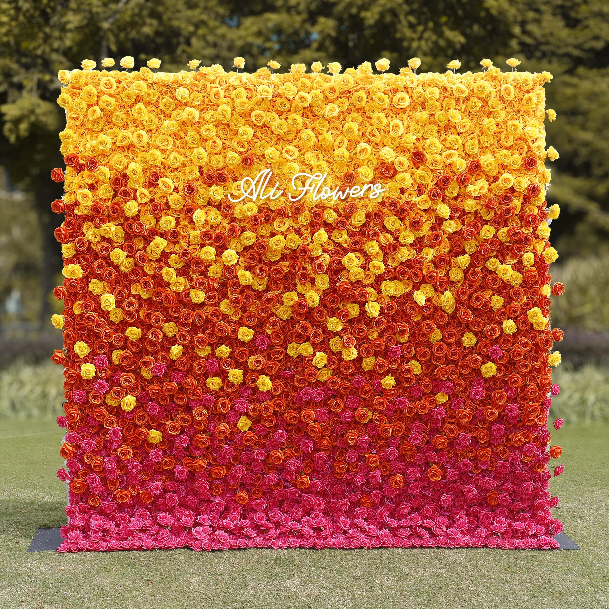Aliflowers 5D Gradient Rose Orange to Red Sunset Flower Walls ALFWL121 - Image 8